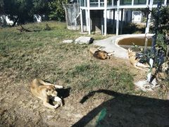 -西安秦岭野生动物园