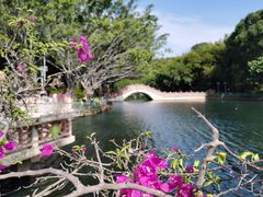 -深圳龙潭公园