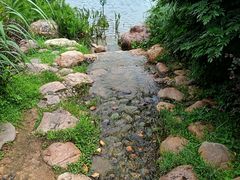 -东莞植物园