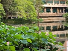 -荔湾湖公园