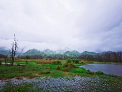 -大九湖