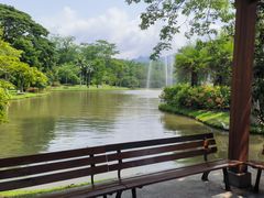 -中国科学院西双版纳热带植物园