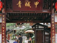 -青城甲(青城山店)