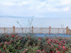 -东湖磨山景区