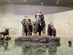 -大庆市博物馆