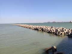 -东疆建设开发纪念公园