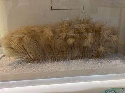 -佳妍惠美科技美肤美体中心