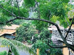 -海南槟榔谷黎苗文化旅游区
