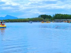 -野鸭湖国家湿地公园