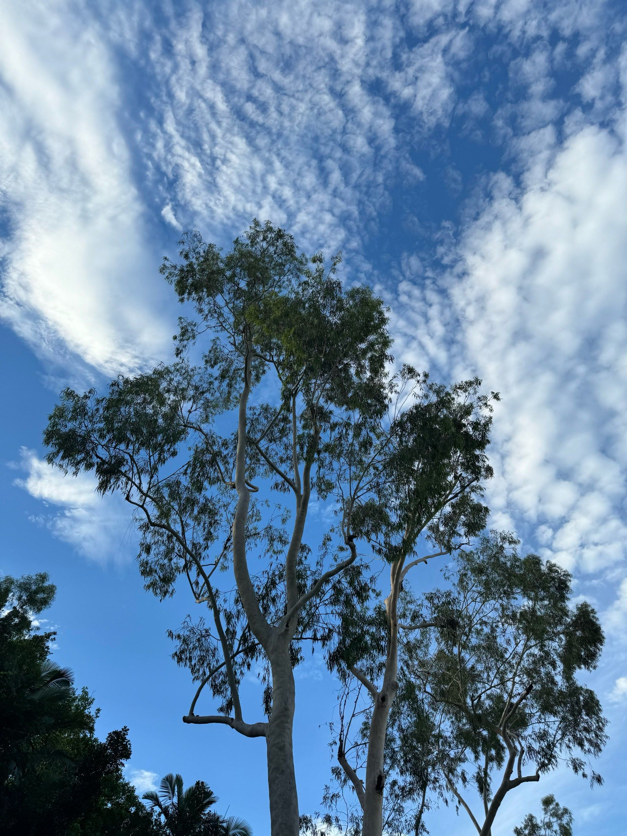 桌面天气显示在线 桌面天气显示在线