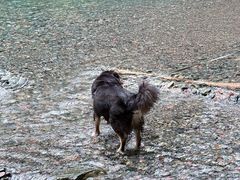 -西岭雪山大飞水景区