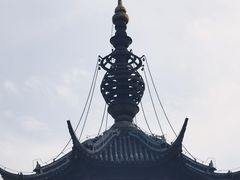 -红梅公园