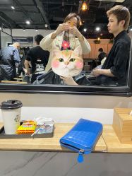 -东瀛造型