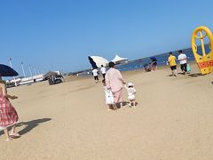 -碧海金沙