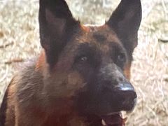 -中影国际影城(东方新天地CINITY店)