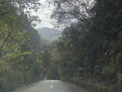 -陕西省红河谷森林公园