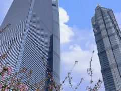 -陆家嘴中心绿地