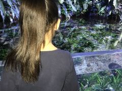 -南昌海洋公园