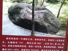 -郧西五龙河风景区
