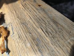 -嘎嘎鸭下巴·爆辣干锅(明教寺店)