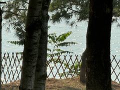 -小麦岛公园