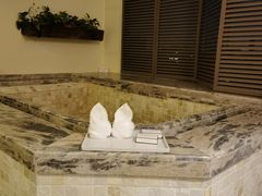 -春晖园度假酒店温泉