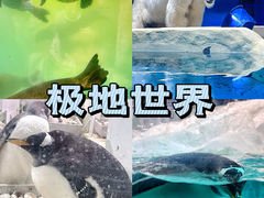 -大连圣亚海洋世界