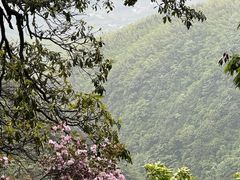 -萍乡武功山风景名胜区