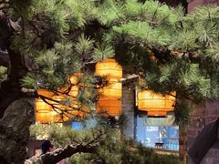 -绿茶餐厅(财富购物中心店)