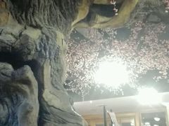 -盛彼得温泉度假酒店