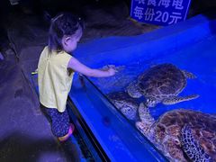 -蓬莱欧乐堡海洋极地世界
