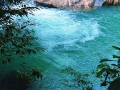 -广州白江湖森林公园