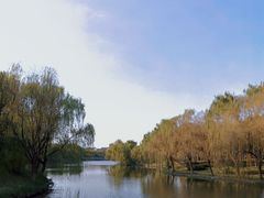 -华东政法大学(松江校区)