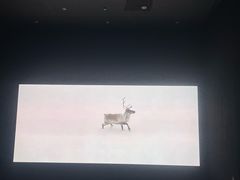 -好利来(上海虹桥新天地Lab主题店)
