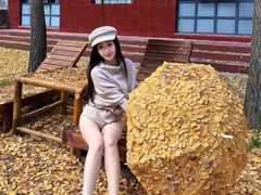 -洛阳白云山景区