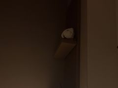 -泰合玺·精油疗愈 SPA(南京河西万达店)
