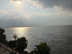 -野菌皇海景野生菌火锅(滨海大道店)