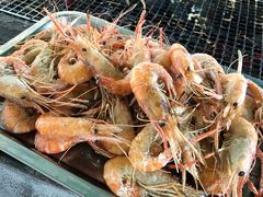 -会江钓鱼钓虾烧烤场