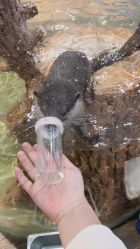 -Zoolung Zoolung动物主题公园(海信广场店)