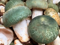 -三锅莊·牦牛肉火锅·香格里拉特色藏餐宴请餐厅(昆明创始店)