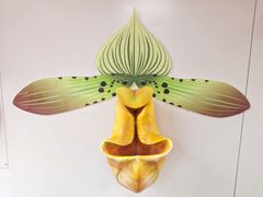 -龙抄手(文殊坊店)