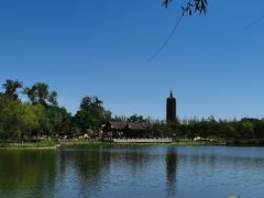 -西海子公园