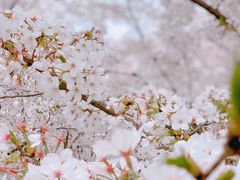 -龙美术馆(西岸馆)