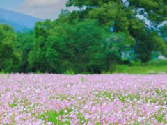 -良渚古城遗址公园