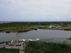 -春花秋色城市公园