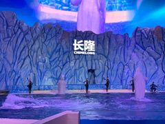 -珠海长隆海洋王国