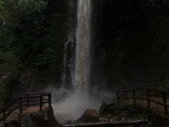 -莫里热带雨林景区