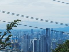 -小南山公园