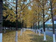 -武汉市民之家