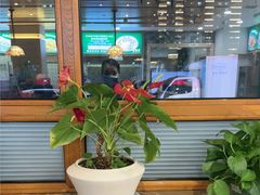 -直隶安家罩饼(复兴路店)